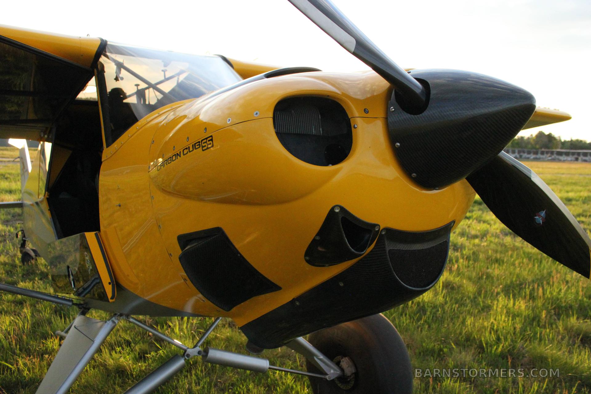 2010 CARBON CUB SS 4