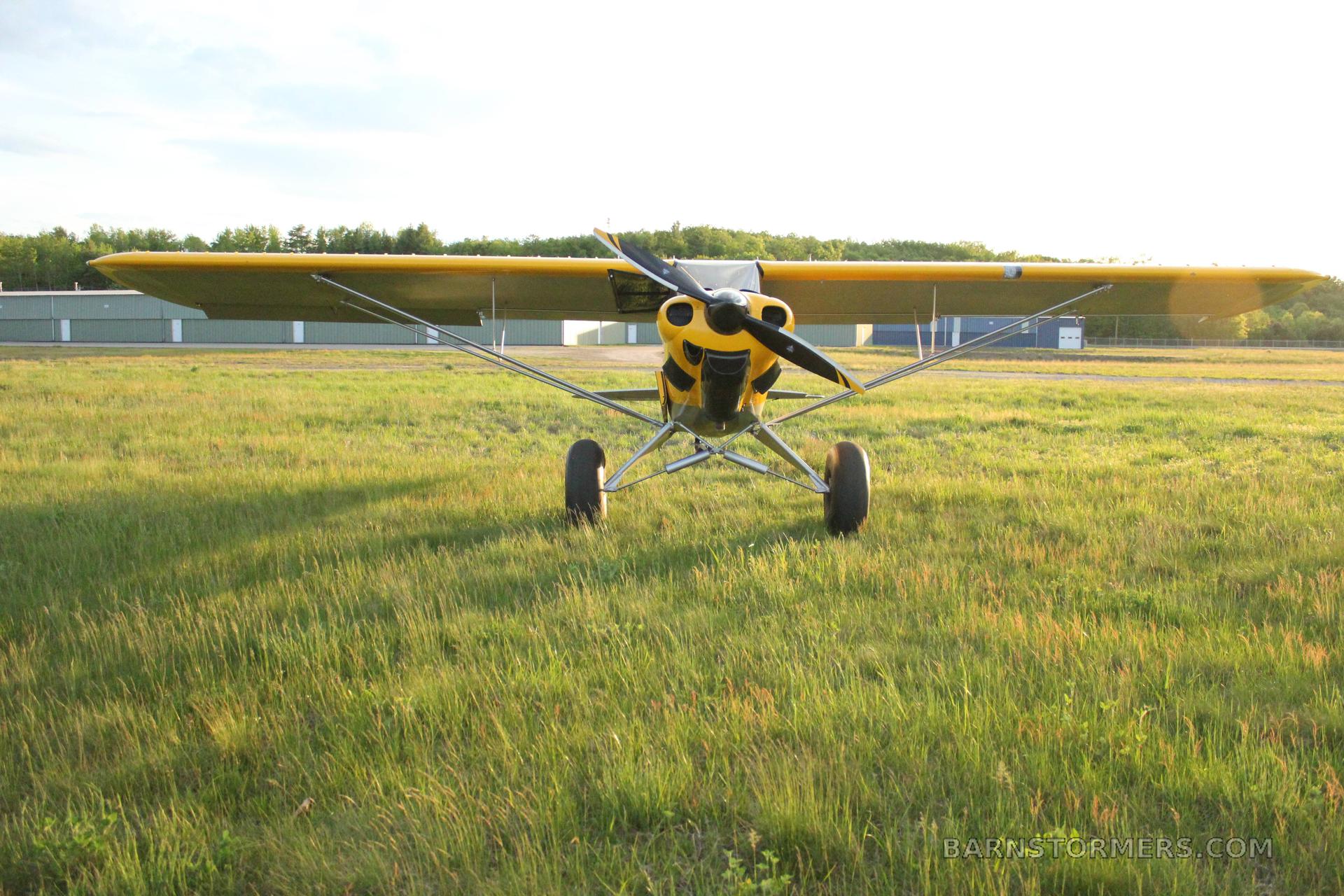 2010 CARBON CUB SS 3