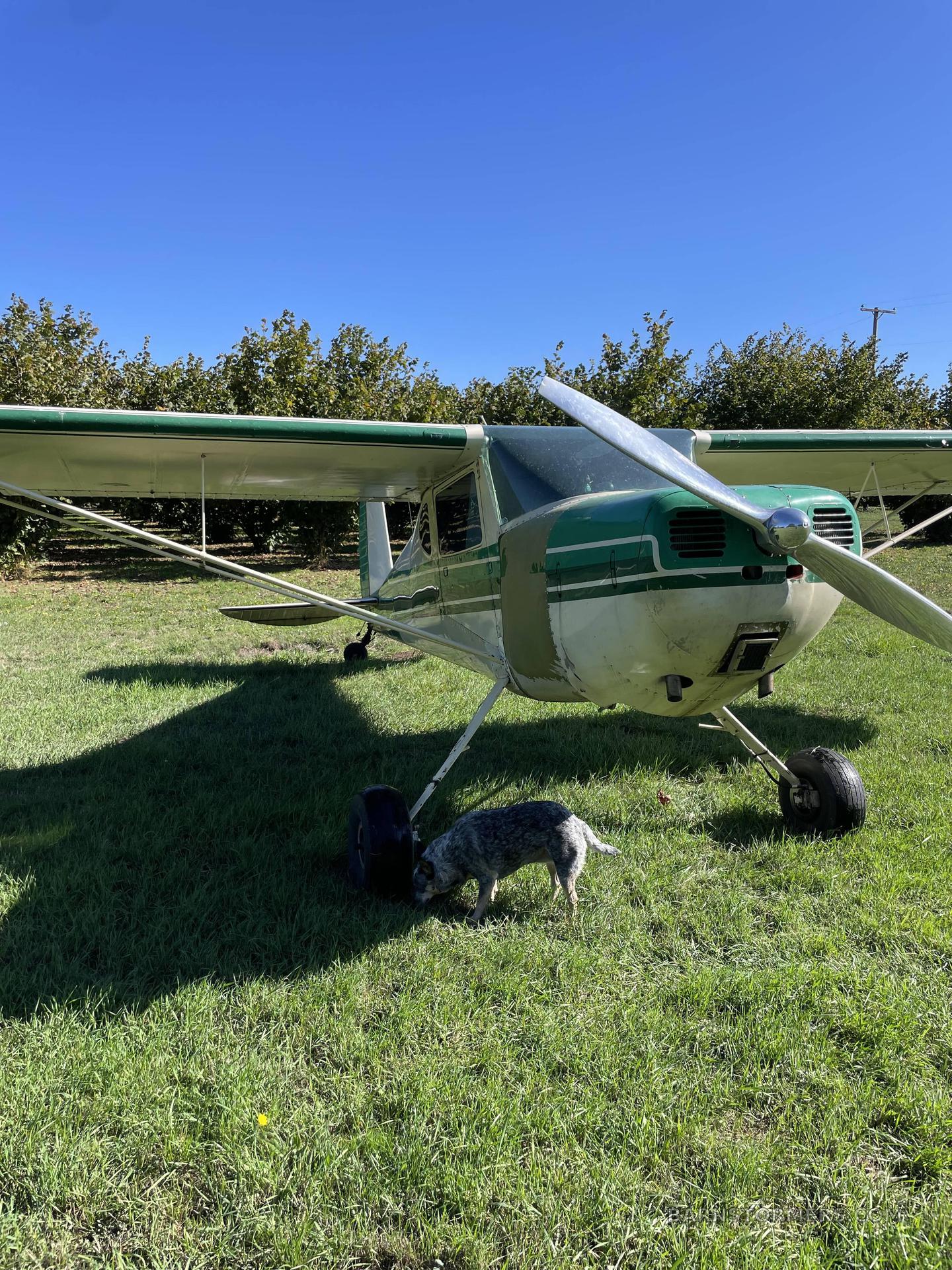 CESSNA 120 3