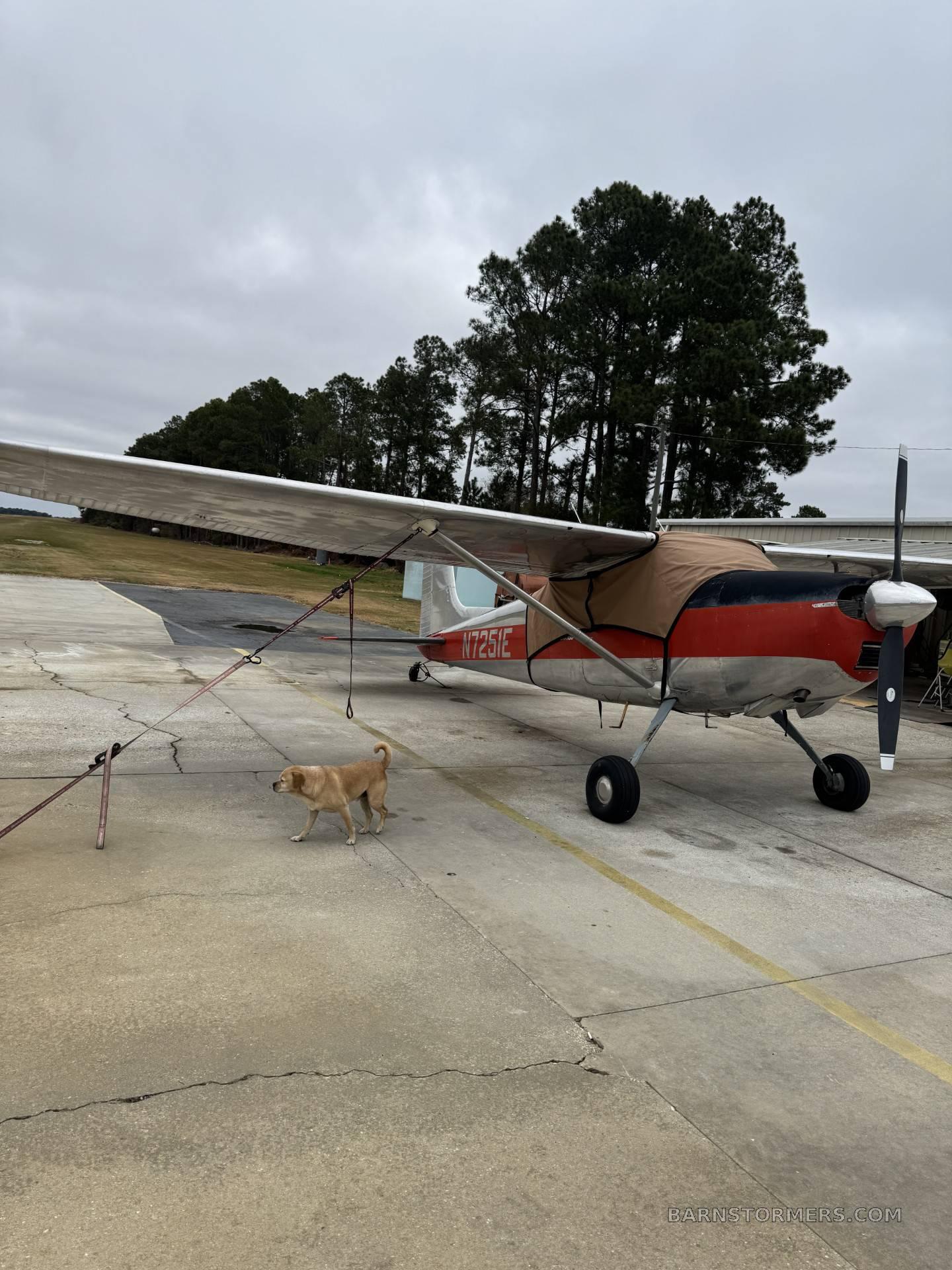 1959 Cessna 182 thumbnail 3