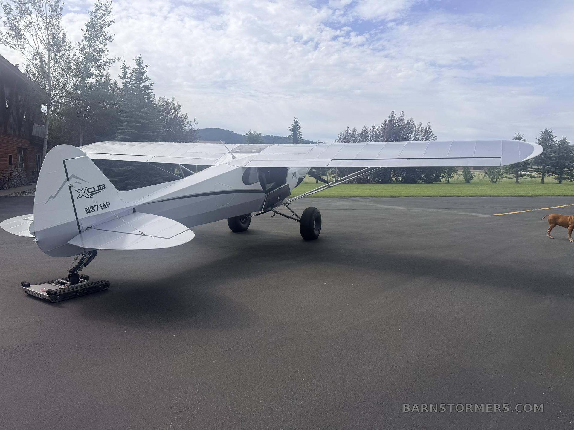 BRAND NEW X-CUB 2025 4