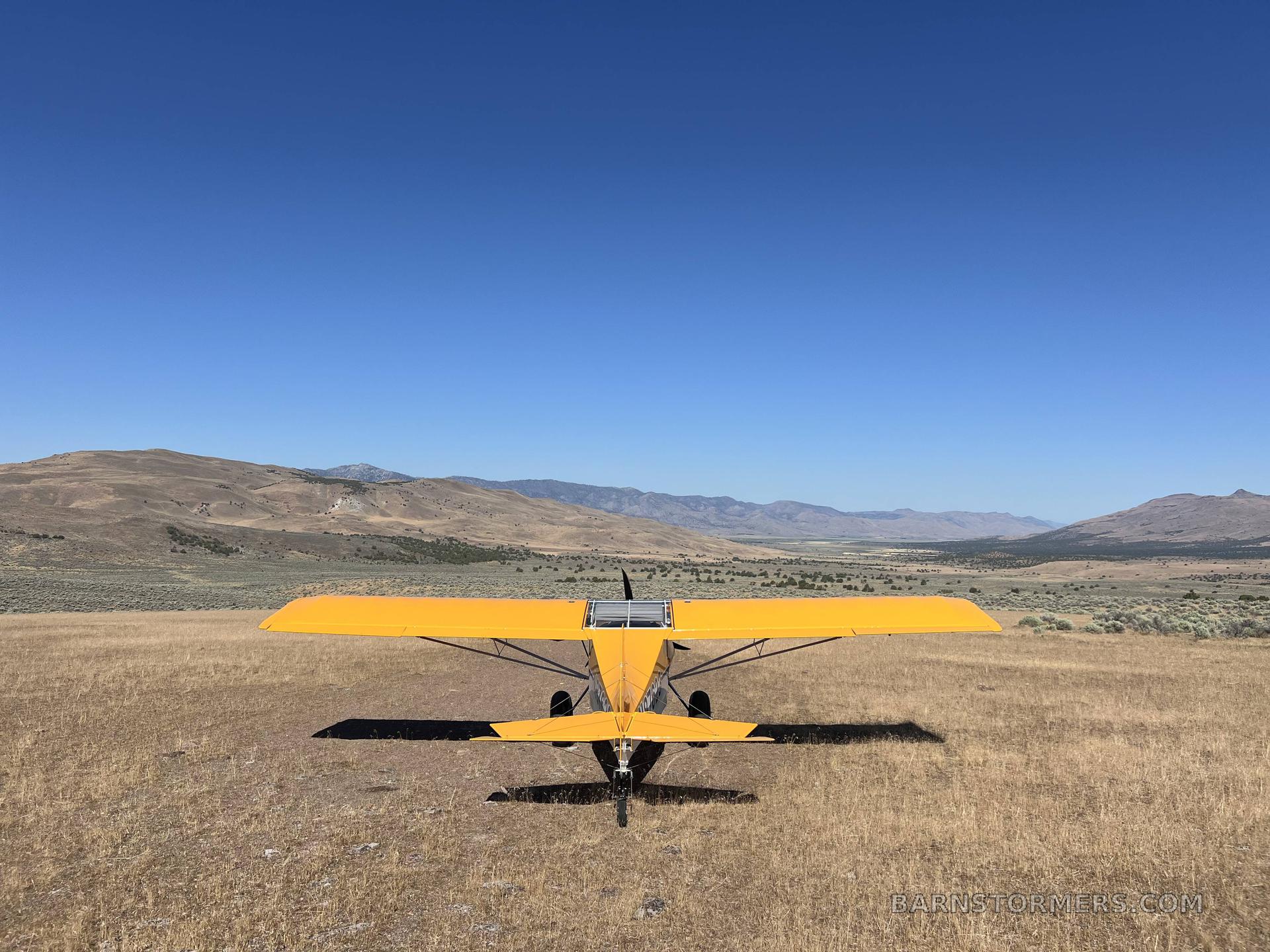 RANSS20 RAVEN FOR SALE 4