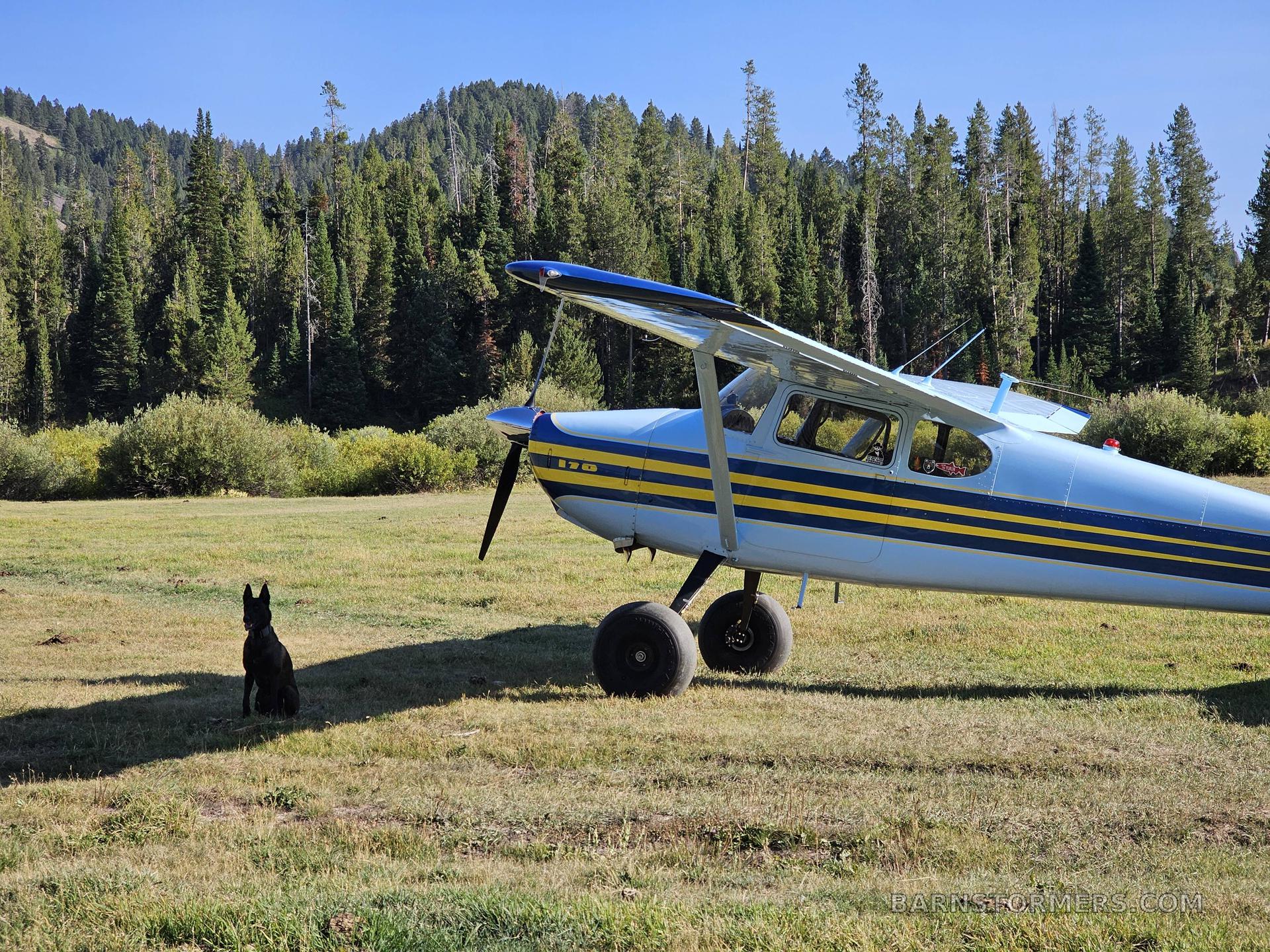 1953 Cessna 170 thumbnail 3