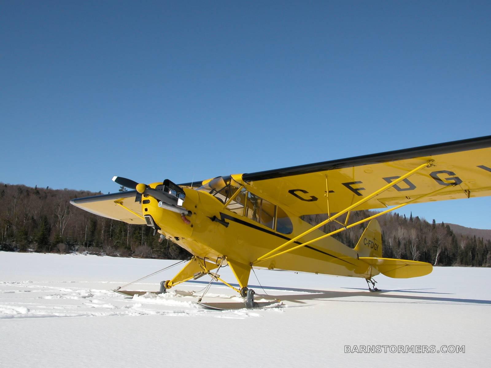 2021 Piper Cub thumbnail 2