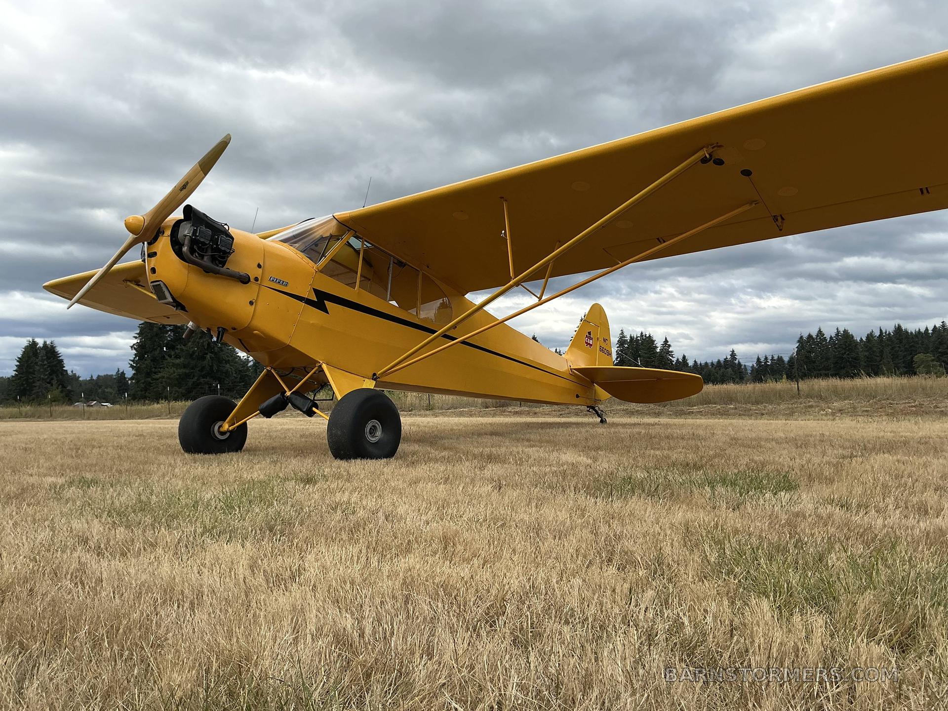 1946 Piper Cub thumbnail 3