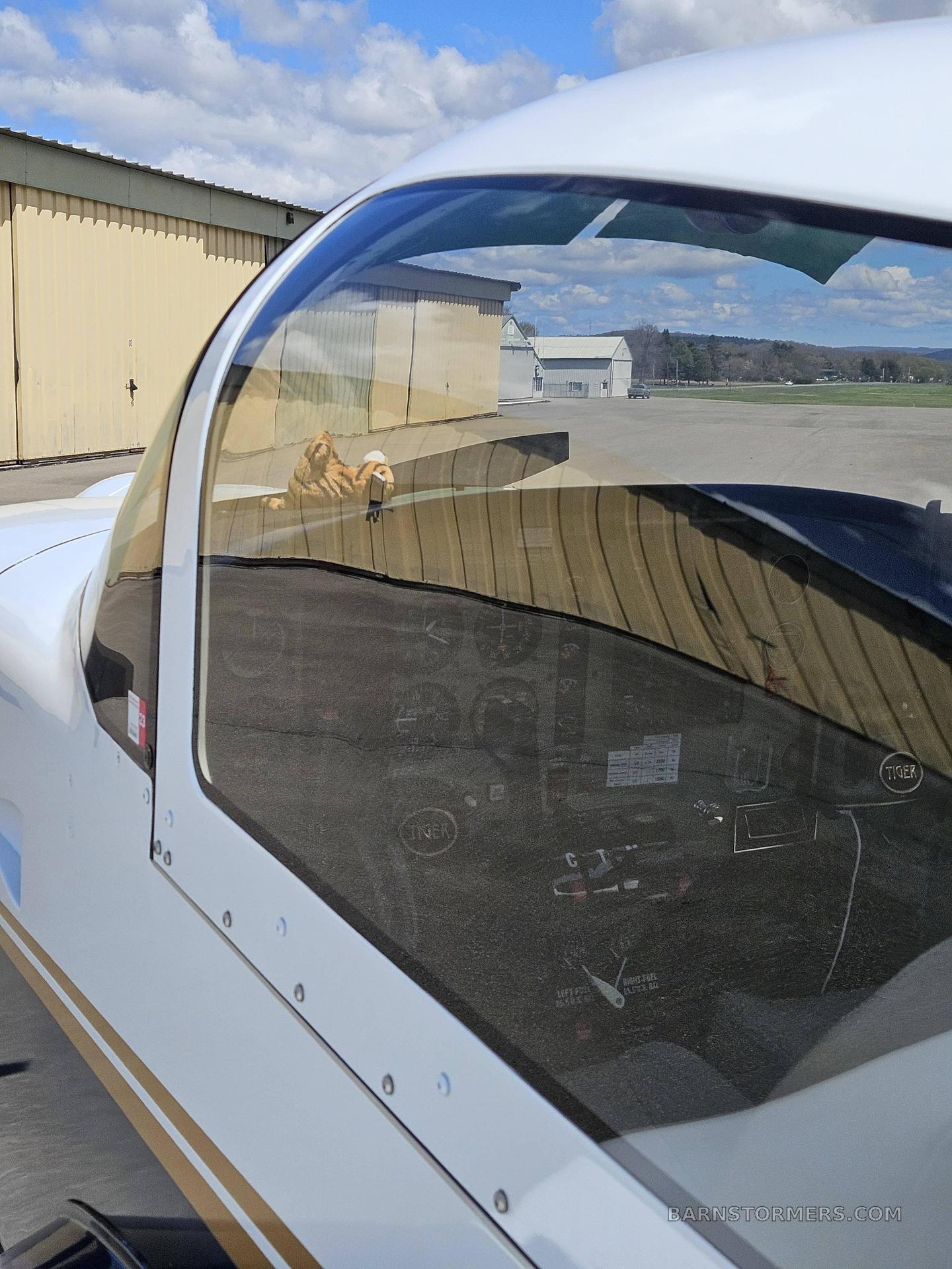 2004 Grumman Tiger thumbnail 2