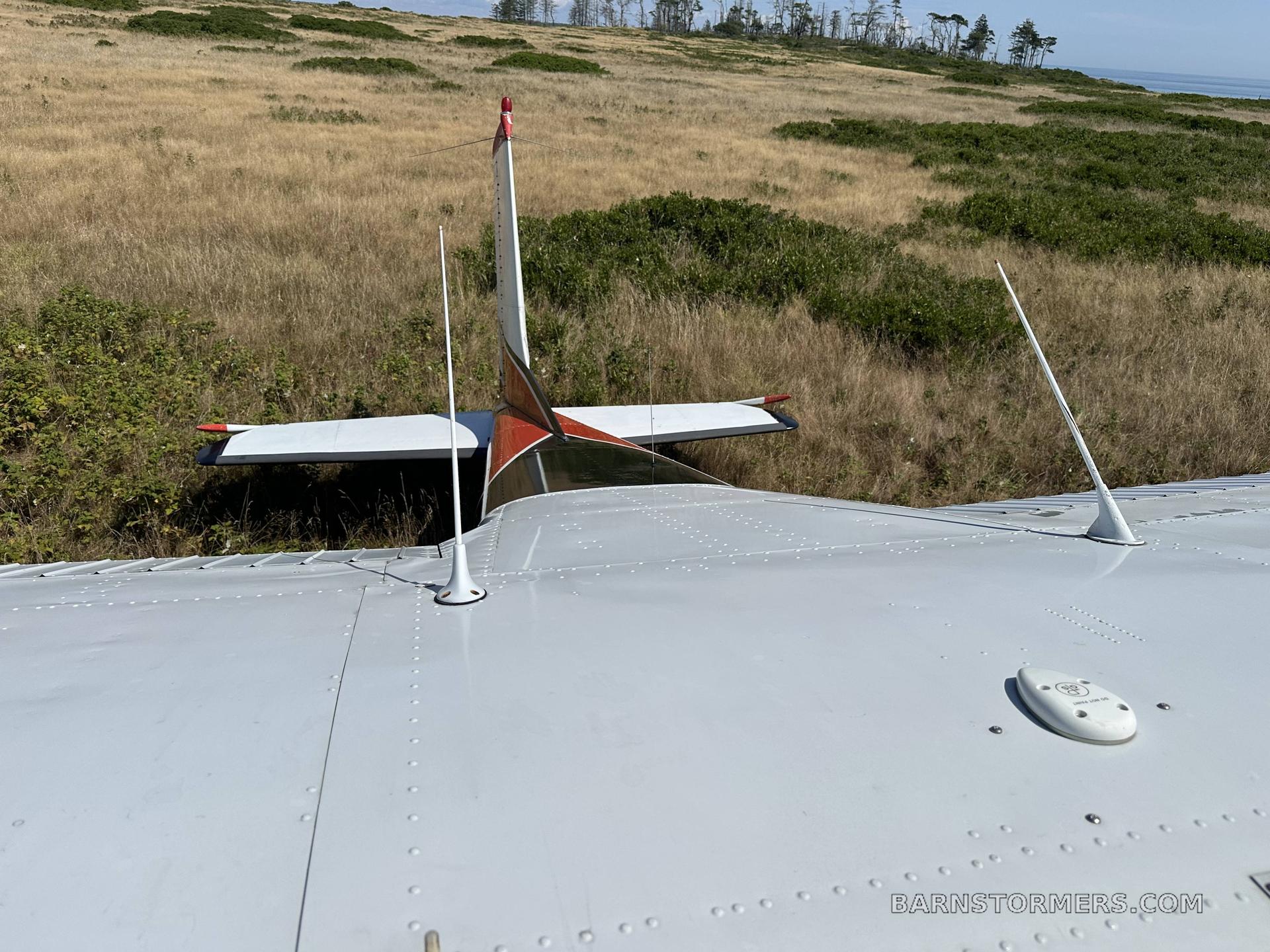 1969 CESSNA 180H 5
