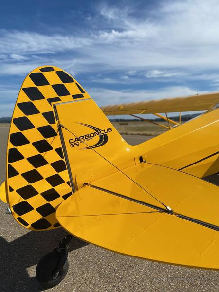 2019 CUBCRAFTERS CARBON CUB SS 3