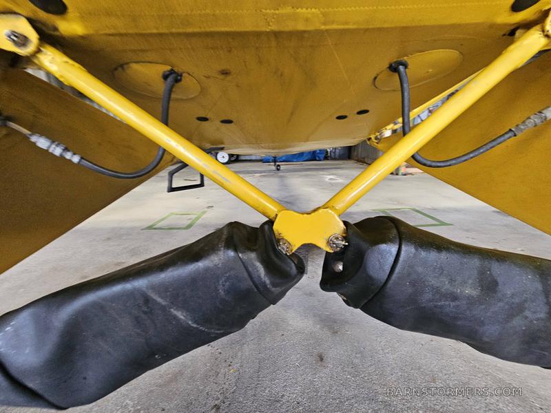 CLIPPED WING CUB! 5