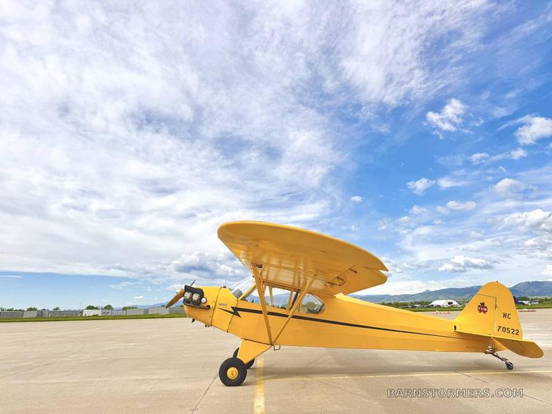 CLASSIC YELLOW CUB 70522 3