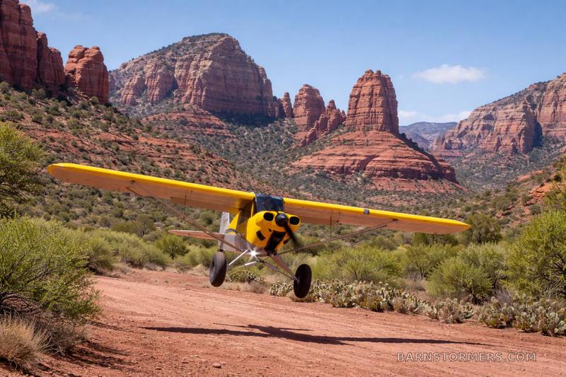 2013 CUBCRAFTERS Carbon Cub SS