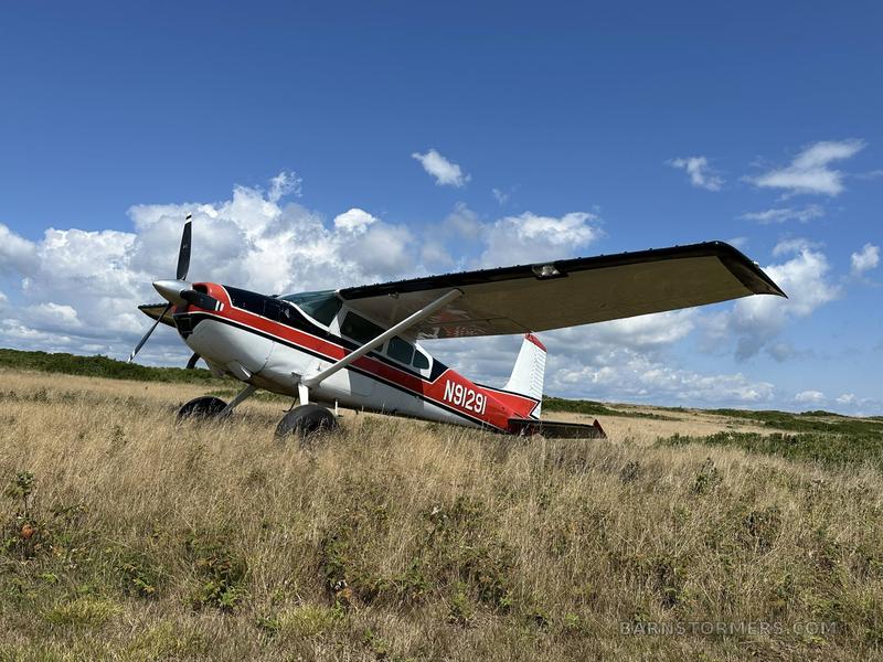 1969 CESSNA 180H