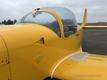SLINGSBY SLINGSBY FIREFLY T67M 260 — photo 4