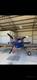 VAN'S VAN'S RV-4 FOR SALE — photo 3