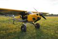 2010 CARBON CARBON CUB SS — photo 1