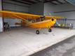 Bellanca RESTORED CITABRIA 7ECA — photo 3