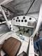 LUSCOMBE LUSCOMBE T8F OBSERVER