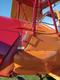 JACKAROO JACKAROO MOD DH82A TIGER MOTH — photo 4