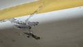 2010 Cirrus CIRRUS SR22-G3 GTS TURBO WING — photo 5