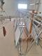 PROJECT, PROJECT, DEMOISELLE ULTRALIGHT — photo 2