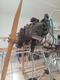 PROJECT, PROJECT, DEMOISELLE ULTRALIGHT — photo 4