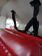 1946 CESSNA CESSNA 140 — photo 4