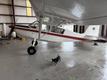 1974 Bellanca BELLANCA SCOUT