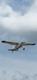 1958 CESSNA CESSNA 180 BETTER THAN NEW — photo 4