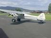 2025 X-Cub BRAND NEW X-CUB 2025 — photo 3