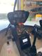 RAVENII RAVENII FOR SALE — photo 4