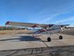1966 CESSNA CESSNA 180H — photo 1