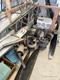 Bellanca BELLANCA CITABRIA PROJECTS — photo 4