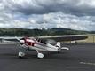 1950 Cessna SUMMER IS HERE — photo 2