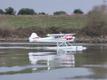 1950 Cessna SUMMER IS HERE — photo 3