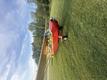 Bellanca FOR SALE — photo 4