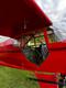 Piper RESTORED PIPER J5 CUB — photo 2