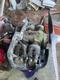 CESSNA CESSNA 150 - PROJECT FOR SALE — photo 3