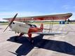 PERFECT PERFECT 2021 HATZ SUPER BANTAM — photo 2