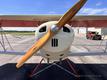 PERFECT PERFECT 2021 HATZ SUPER BANTAM — photo 4