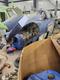 Beechcraft BEECHACRFT T34 PROJECTS/PARTS — photo 3