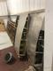 STEARMAN STEARMAN PROJECTS — photo 4