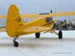 2011 Carbon BEAUTIFUL CARBON CUB — photo 2
