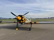 1982 400HP 400HP YAK-50 — photo 1
