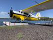 PRISTINE PRISTINE NORSEMAN V. RESTORED! — photo 2