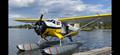 PRISTINE PRISTINE NORSEMAN V. RESTORED! — photo 4