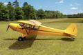 1953 PIPER PIPER PA-18-105 SPECIAL — photo 1