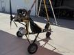 103 103 ULTRALIGHT TRIKE NORTHWING — photo 2
