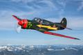 YAK YAK 18T FOR SALE