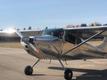 1949 CESSNA CESSNA 170A PROJECT — photo 1