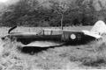 CURTISS CURTISS P-40K-10. RESTORATION